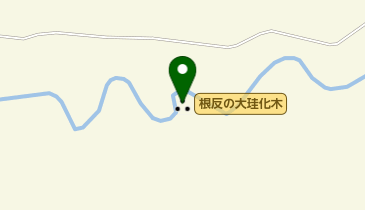 根反の大珪化木の地図画像