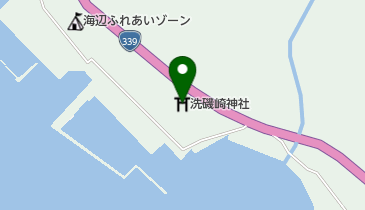 洗磯崎神社の地図画像