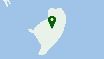 大平島の地図画像