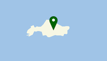 大コ島の地図画像