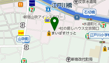 コインランドリーピエロ 295号 関口店の地図画像