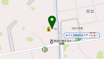 新三郷 かえで整骨院の地図画像