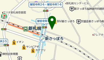 岩崎電子補聴器センター 新札幌店の地図画像