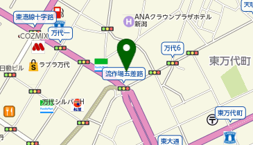 WiFiBOX アパホテル&リゾート〈新潟駅前大通〉の地図画像