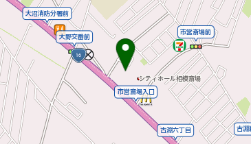 サン・ライフ 相模ファミリーホールの地図画像