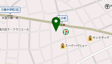 やすらぎホール大宮の地図画像