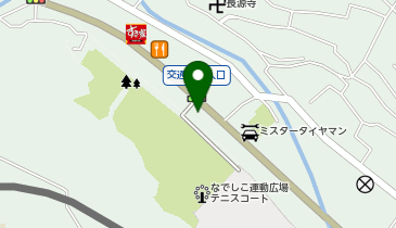 ほねごり接骨院・はりきゅう院 秦野曽屋院の地図画像