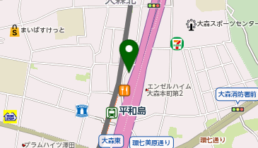 東京大森整骨院の地図画像