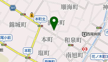 石川健康院の地図画像