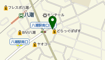 ひまわり中央整骨院 八潮市本院の地図画像