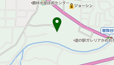 菊仙書道教室 ガレリアかめおかの地図画像