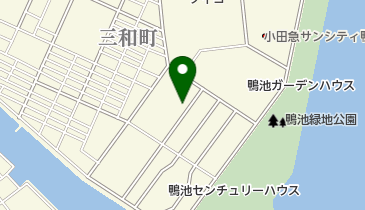 鹿児島市住宅地図３（鴨池・谷山・松元） ２００８０９/ゼンリン（単行本） 鹿児島市住宅地図3（鴨池・谷山・松元） 200809/ゼンリン