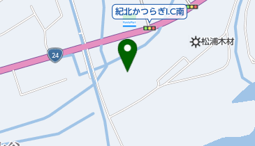 日進化学(株)和歌山工場の地図画像