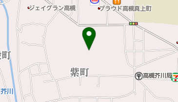 日本たばこ産業(株)医薬総合研究所の地図画像