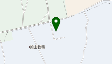 マテックス(株)鳩山センターの地図画像
