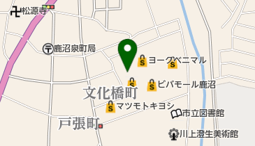 ドリームファクトリーアロハ!ビバモール鹿沼店の地図画像