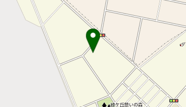 (株)日産クリエイティブサービス羽村物流センターの地図画像