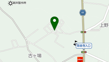 (有)岩槻経営センターの地図画像