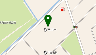 横浜冷凍(株)志布志物流センターの地図画像