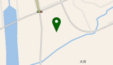 東洋埠頭(株)志布志支店新若浜物流センターの地図画像