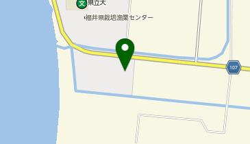 福井県水産試験場企画・先端研究室ふくい水産振興センターの地図画像