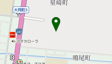 大同特殊鋼 株式会社 星崎工場の地図画像