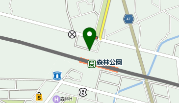 森林公園(埼玉県) 北口 タクシー乗り場の地図画像