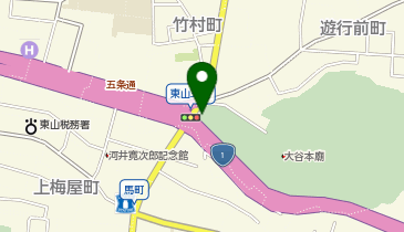 東山五条 タクシー乗り場の地図画像