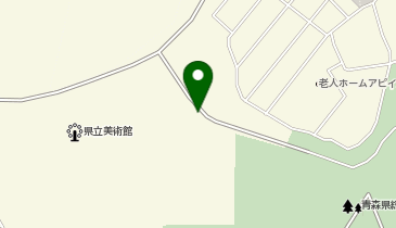 青森県立美術館前タクシー乗り場の地図画像