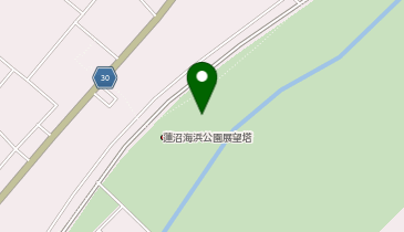 山武市サマーカーニバルの地図画像