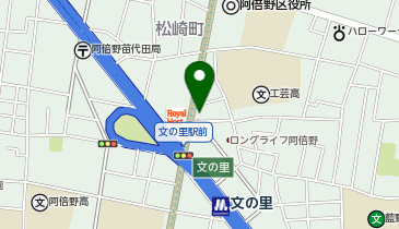 el saldnの地図画像