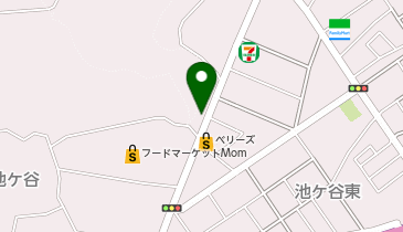 池ケ谷康和ビルの地図画像