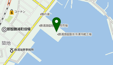 那智勝浦地区水産物産地流通加工センターの地図画像