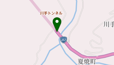 メロディートンネル「どんぐりころころ」/国道257号川手トンネルの地図画像