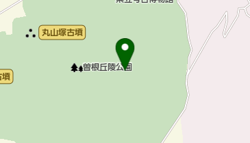 大丸山古墳の地図画像