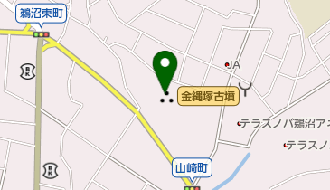 金縄塚古墳の地図画像