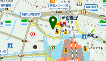 ビックカメラ 新宿西口店の地図画像