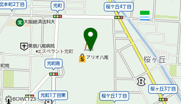 ビックカメラ アリオ八尾店の地図画像