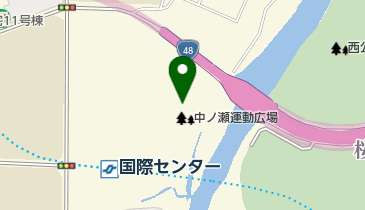 広瀬川仲ノ瀬緑地の地図画像