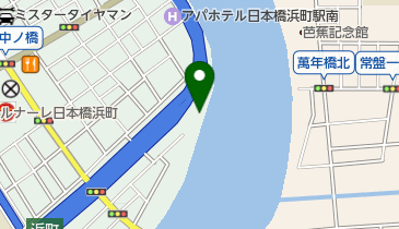 中洲公園の地図画像