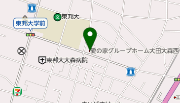 愛の家グループホーム大田大森西の地図画像