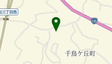 千鳥ケ池公園の地図画像