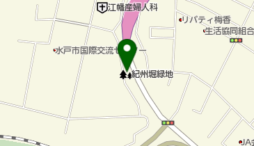 紀州掘緑地の地図画像