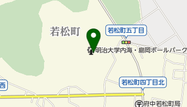 明大球場(内海・島岡ボールパーク)の地図画像