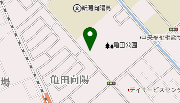 亀田公園の地図画像