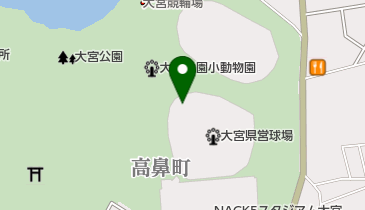 大宮公園野球場(県営大宮球場)の地図画像