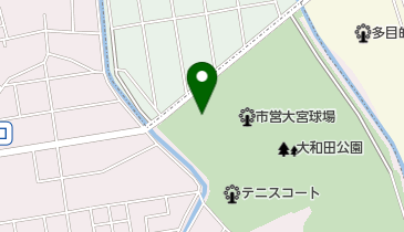さいたま市営大宮球場の地図画像