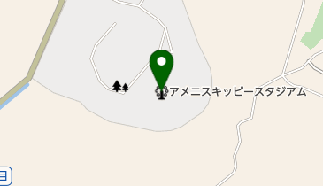 アメニスキッピースタジアム(城山公園野球場)の地図画像