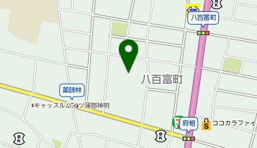 保険テラス サンヨネ蒲郡店の地図画像