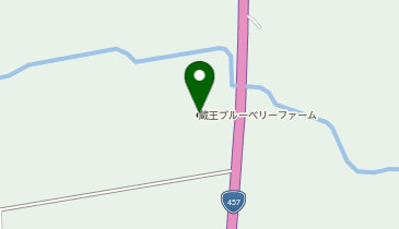 蔵王ブルーベリーファームの地図画像
